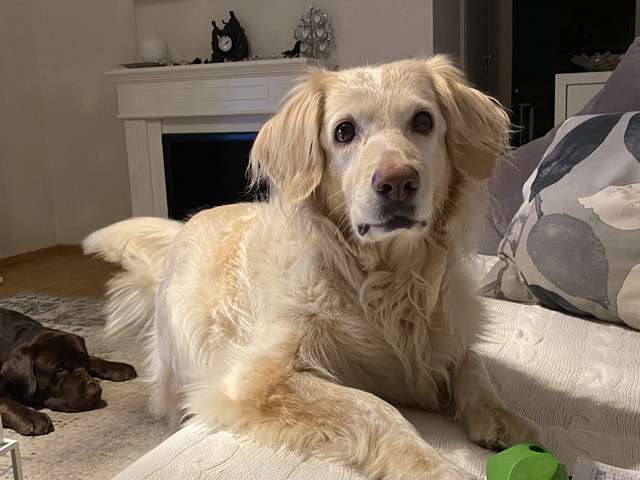 9069-CAEA-C9-F8-4-E21-81-BD-E5-FB253-B86