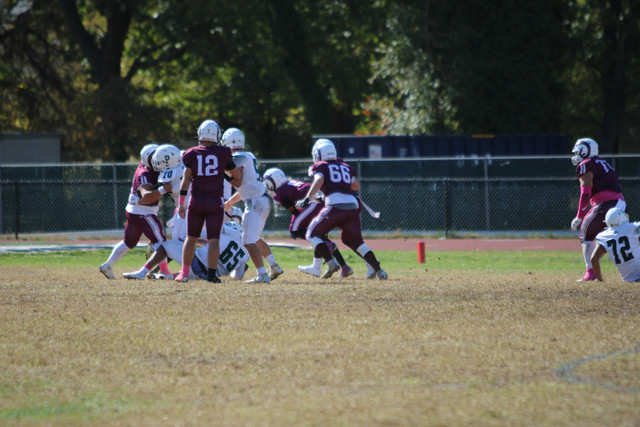 IMG-8248.jpg