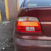 IMG-6547
