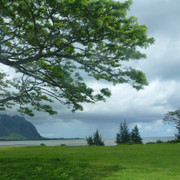 P1070278