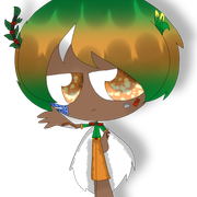 Camboriú