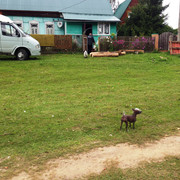 IMG-4004