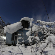 1c00220m