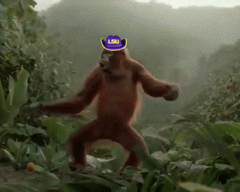 orgLSU.gif