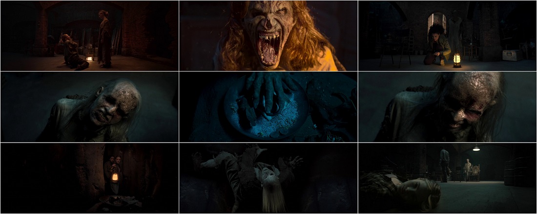 vl.jpg