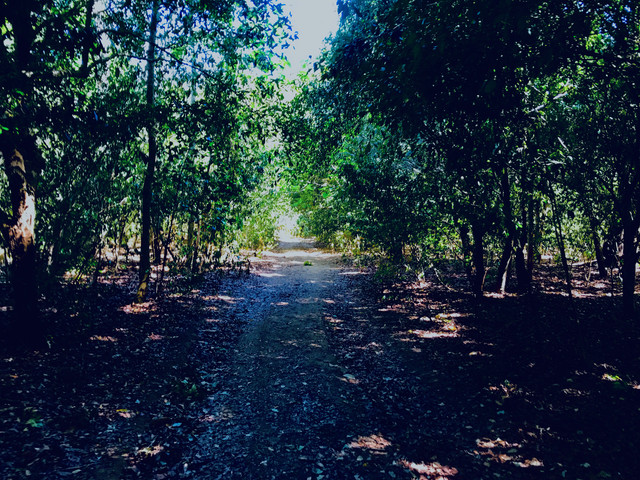IMG-8106.jpg