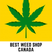 Best-Weed-Shop-Canada-3