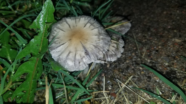20190908-071658