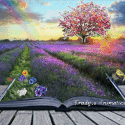 9.gif