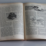IMG-7399