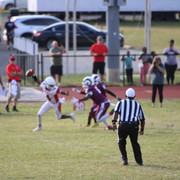 IMG-2241