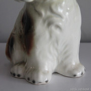 IMG-2830