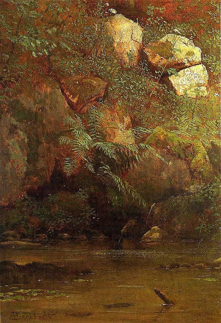 Ferns-and-Rocks-on-an-Embankment-1869