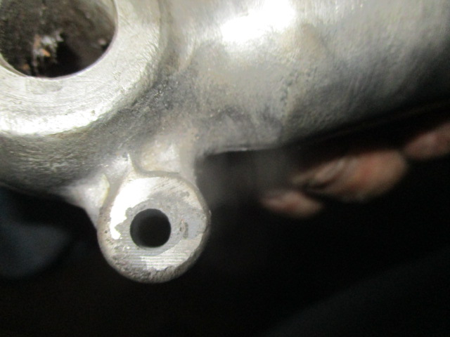 IMG-9177.jpg