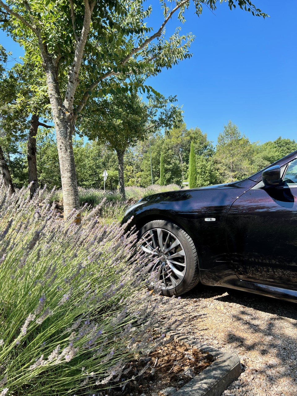 infiniti20225.jpg
