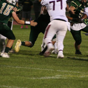 IMG-6441