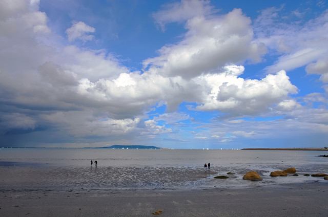 IMGP1109-1.jpg