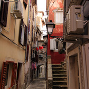IMG-9812