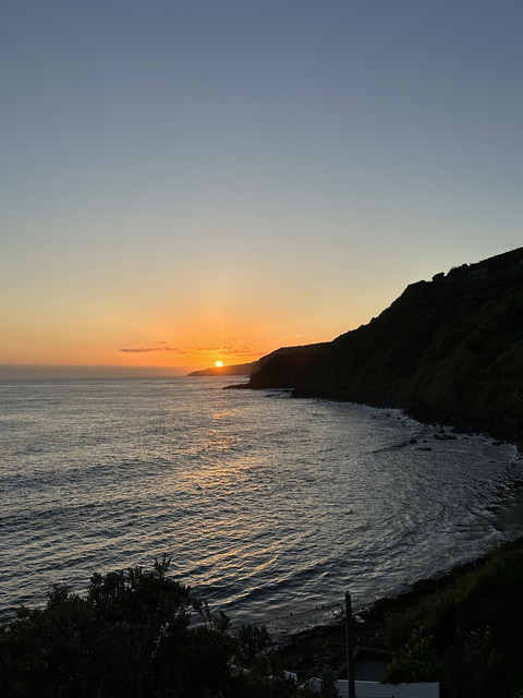 IMG-3556