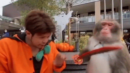 IMG-0164.gif
