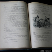 IMG-8319