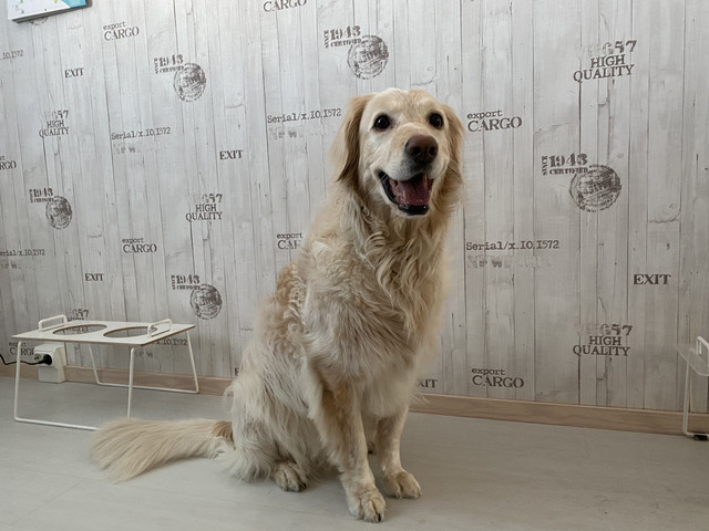 F7-F2-C113-A386-48-C1-9-D20-8-E4-ECB8-F2