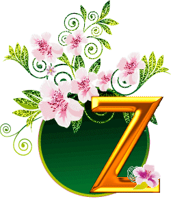 z.gif