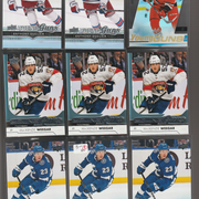 Panthers-1