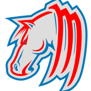 Detroit Mustangs Logo Mk.2