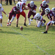 IMG-2037