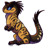 zubers-carno.png