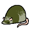 rat1262.png
