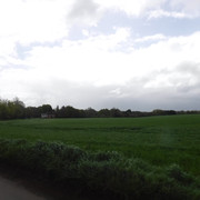 DSCF7790