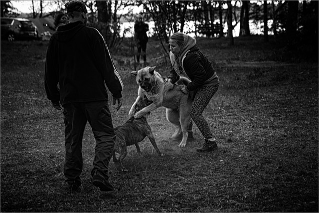 IMG-6416
