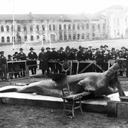 1900 ΚΑΡΧΑΡΙΑΣ ΣΕ ΔΗΜΟΣΙΑ ΘΕΑ, ΣΤΟ ΤΑΞΙΜ
