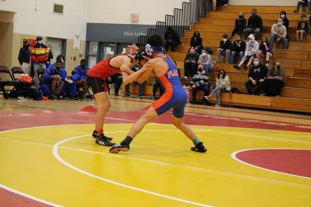 IMG-0248