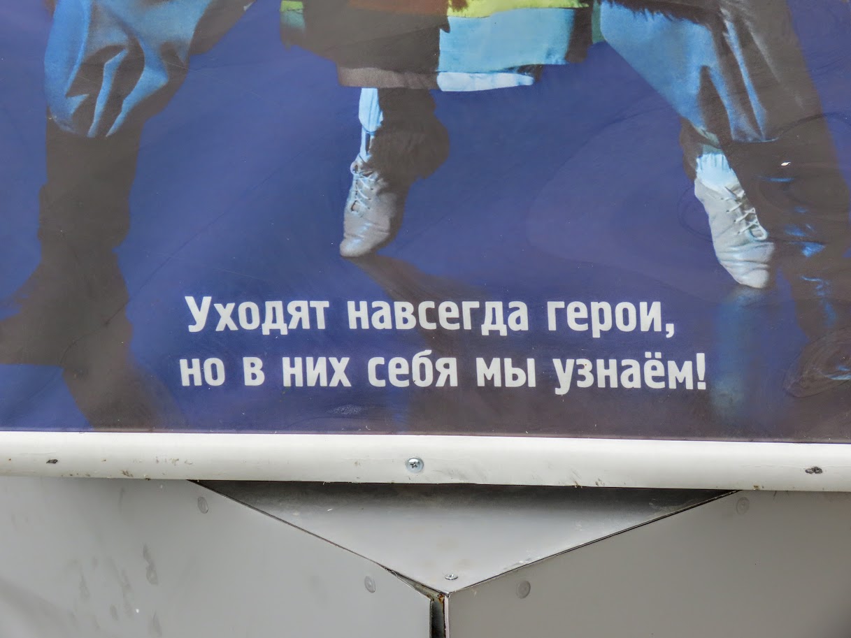 IMG-8729