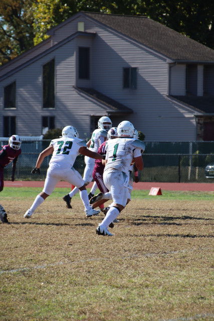 IMG-3528