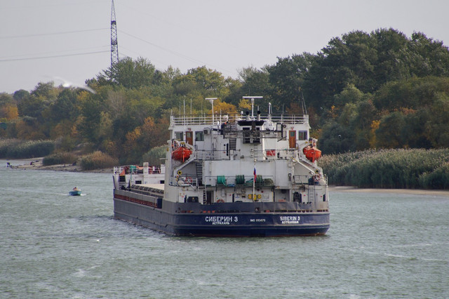 DSC08288.jpg