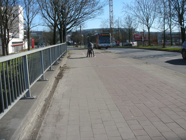 https://i.ibb.co/kM2gkM0/BILD000032.jpg