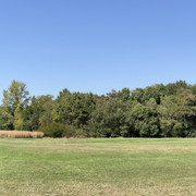 IMG-1669