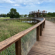 IMG-2559