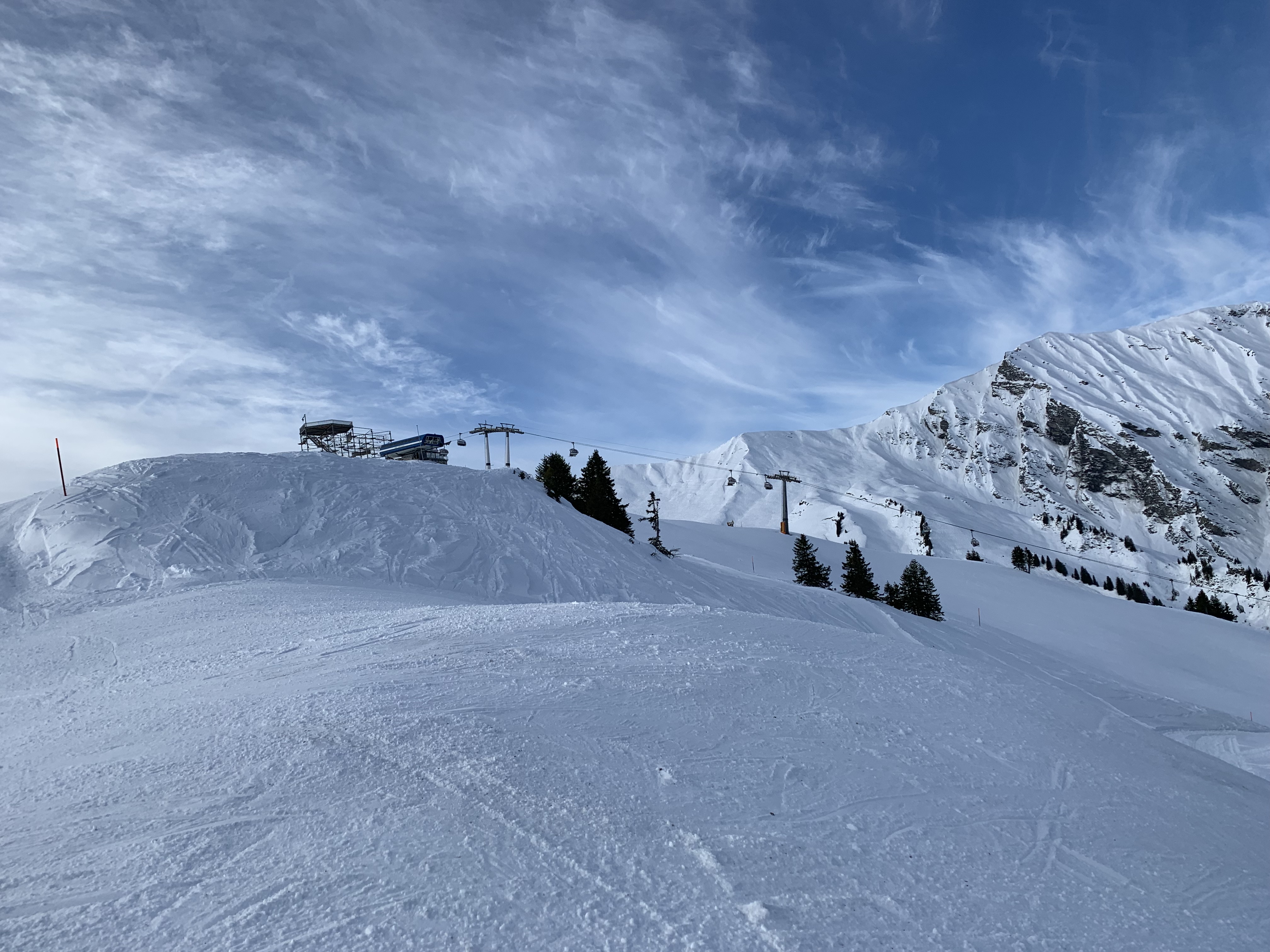 IMG-0596.jpg
