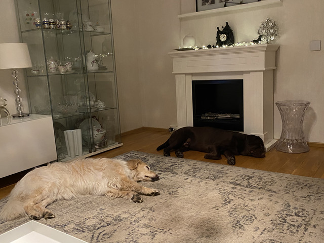 C48-BD605-5622-42-F6-B9-DF-F95-AFE507-E0