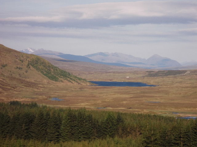 DSCF3633.jpg