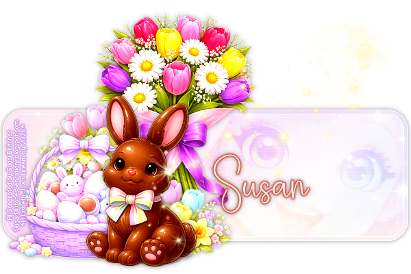 Susan 91ºBanner.png