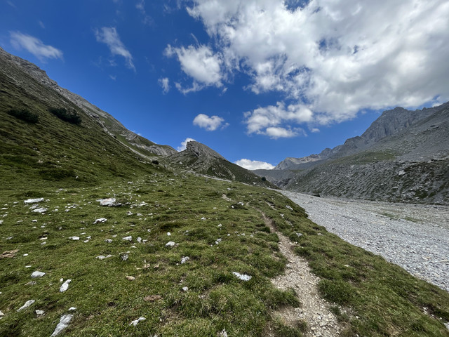 IMG-7441-2