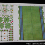 IMG-6768
