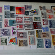 IMG-6930
