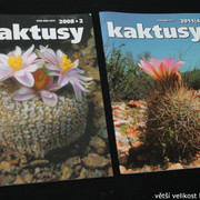 IMG-3271